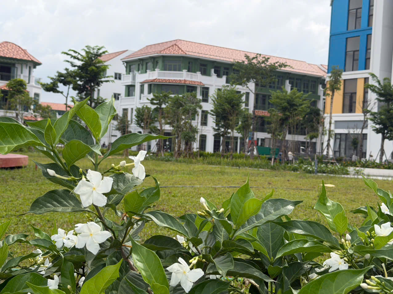 Hé lộ căn liền kề góc nhỉnh 8 tỷ tại Sun Urban